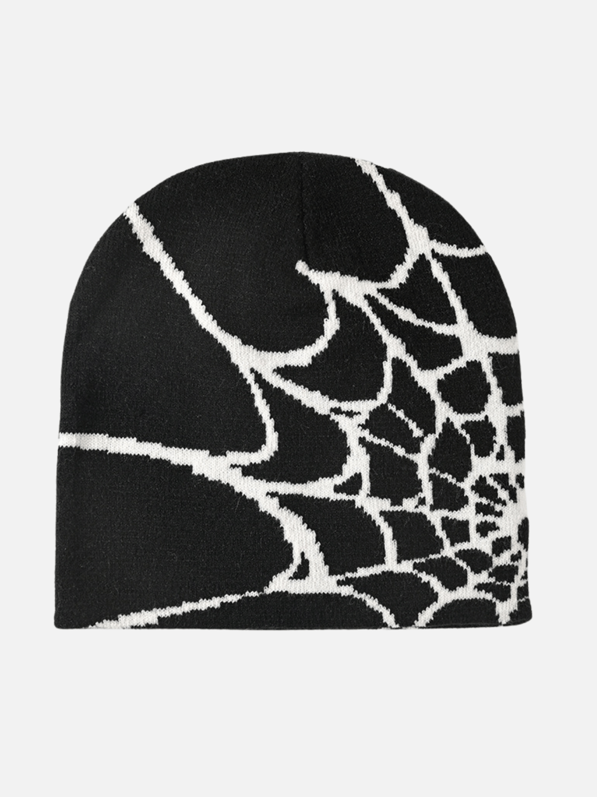SPIDER - Graphic Beanie Black One Size | TEENWEAR.EU